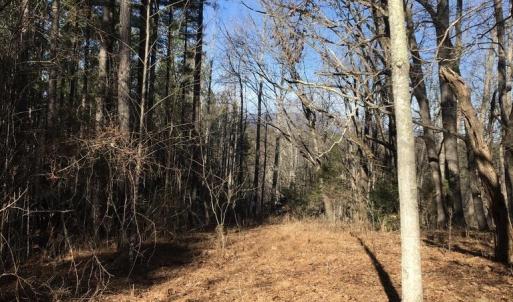 Photo #9 of BATESVILLE RD, AFTON, VA 120.1 acres