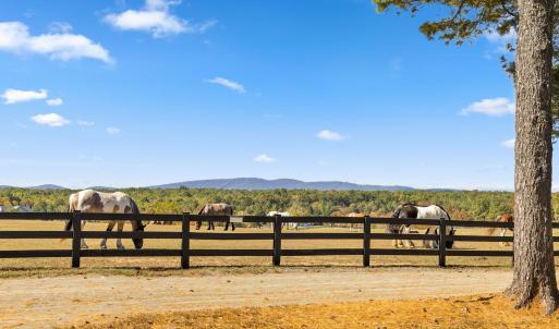 Photo #14 of PINEHURST DR, GORDONSVILLE, VA 0.5 acres