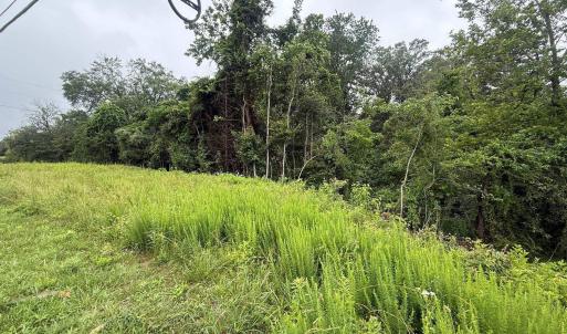 Photo #6 of 5971 SEMINOLE TRL, BARBOURSVILLE, VA 3.4 acres