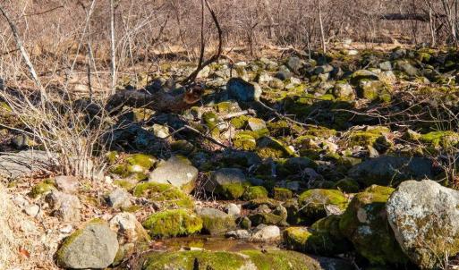 Photo #6 of TBD1 FOREST HOMES DR, ELKTON, VA 6.0 acres