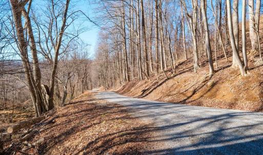 Photo #7 of TBD1 FOREST HOMES DR, ELKTON, VA 6.0 acres