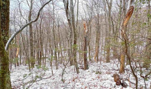 The property backs up hundreds of acres of open space for greater privacy from neighbors.