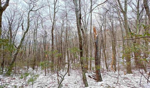 Nice seasonal mountain and sunset views from this generous 0.7ac lot.