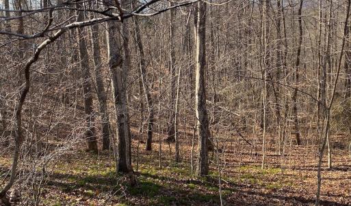 Photo #4 of WALNUT GROVE LN, LOVINGSTON, VA 50.0 acres