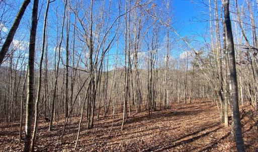Photo #1 of WALNUT GROVE LN, LOVINGSTON, VA 50.0 acres