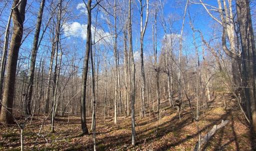 Photo #3 of WALNUT GROVE LN, LOVINGSTON, VA 50.0 acres