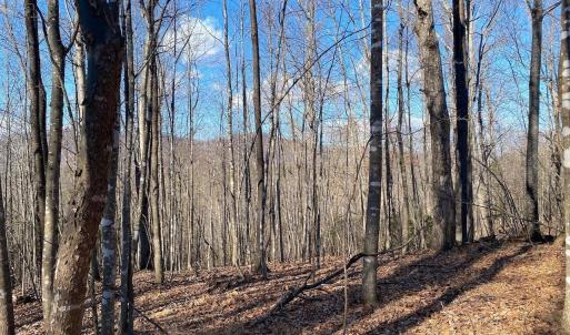 Photo #7 of WALNUT GROVE LN, LOVINGSTON, VA 50.0 acres