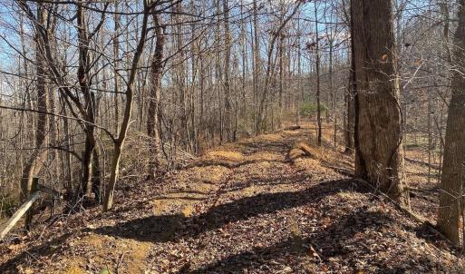 Photo #9 of WALNUT GROVE LN, LOVINGSTON, VA 50.0 acres