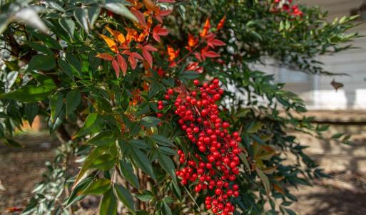 Photo #13 of 611 RIVES ST, CHARLOTTESVILLE, VA 0.3 acres