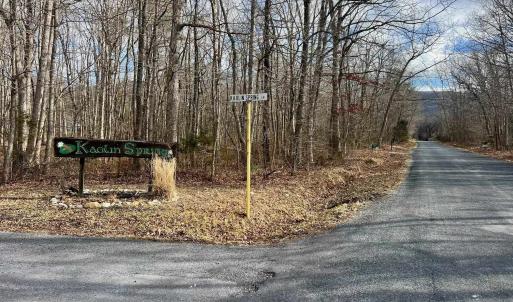 Photo #6 of TBD KAOLIN SPRING LN, GREENVILLE, VA 4.9 acres