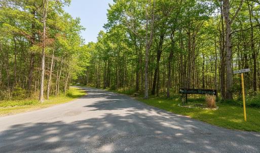 Photo #11 of TBD KAOLIN SPRING LN, GREENVILLE, VA 4.9 acres