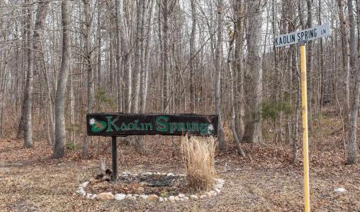 Photo #4 of TBD KAOLIN SPRING LN, GREENVILLE, VA 4.9 acres