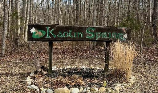 Photo #5 of TBD KAOLIN SPRING LN, GREENVILLE, VA 4.9 acres