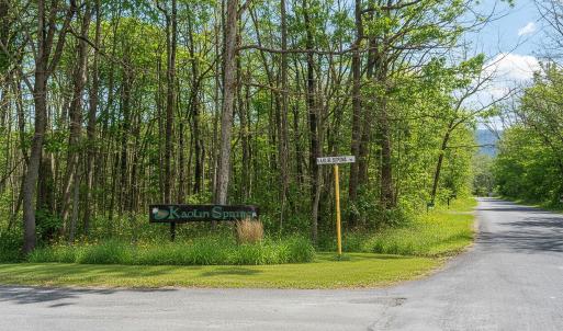 Photo #10 of TBD KAOLIN SPRING LN, GREENVILLE, VA 4.9 acres