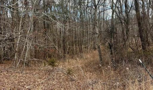 Photo #4 of TBD KAOLIN SPRING LN, GREENVILLE, VA 4.9 acres