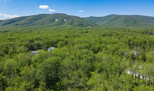 Photo #22 of TBD KAOLIN SPRING LN, GREENVILLE, VA 4.9 acres