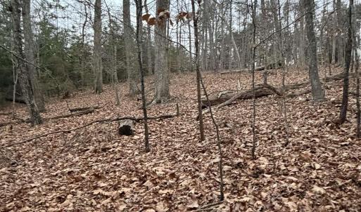 Photo #4 of 2 GOODMAN LN, PALMYRA, VA 1.5 acres