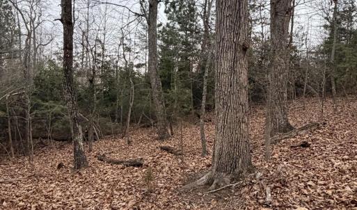 Photo #5 of 2 GOODMAN LN, PALMYRA, VA 1.5 acres