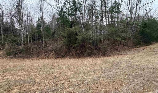 Photo #2 of 2 GOODMAN LN, PALMYRA, VA 1.5 acres