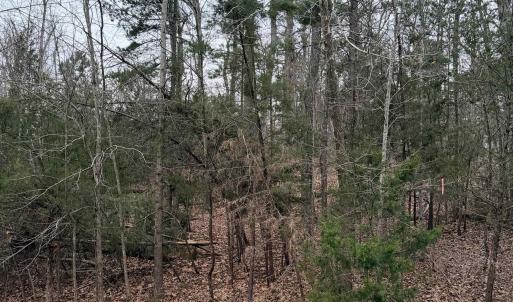 Photo #3 of 2 GOODMAN LN, PALMYRA, VA 1.5 acres
