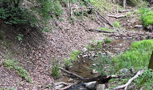 Photo #15 of 12 GALLOWAY SPRING LN, SHENANDOAH, VA 22.4 acres