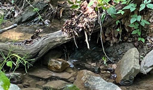 Photo #16 of 12 GALLOWAY SPRING LN, SHENANDOAH, VA 22.4 acres