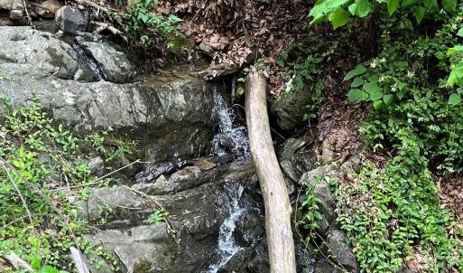 Photo #14 of 12 GALLOWAY SPRING LN, SHENANDOAH, VA 22.4 acres