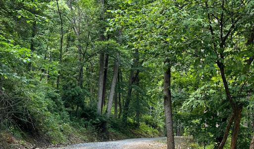 Photo #12 of 12 GALLOWAY SPRING LN, SHENANDOAH, VA 22.4 acres
