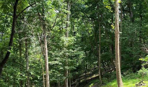 Photo #9 of 12 GALLOWAY SPRING LN, SHENANDOAH, VA 22.4 acres