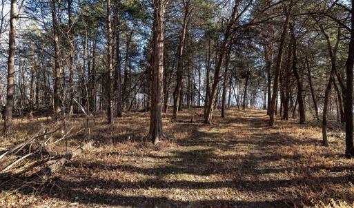 Photo #2 of Lot 8 PROMISE LN, STANLEY, VA 6.3 acres