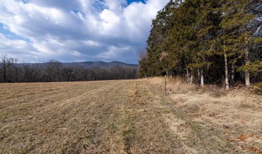 Photo #8 of Lot 8 PROMISE LN, STANLEY, VA 6.3 acres
