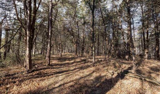 Photo #10 of Lot 8 PROMISE LN, STANLEY, VA 6.3 acres