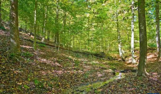 Photo #13 of Lot 4 P.R. DAVENTRY LN, CHARLOTTESVILLE, VA 2.1 acres