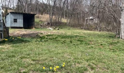 Photo #24 of 1099 BROADHEAD SCHOOL RD, GREENVILLE, VA 3.1 acres