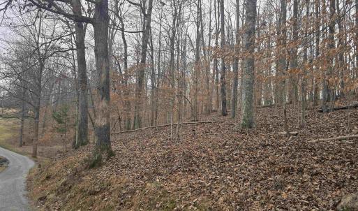 Photo #4 of BARRETT ST, PALMYRA, VA 3.7 acres