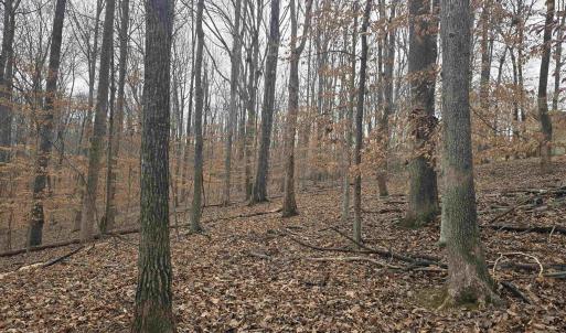 Photo #3 of BARRETT ST, PALMYRA, VA 3.7 acres