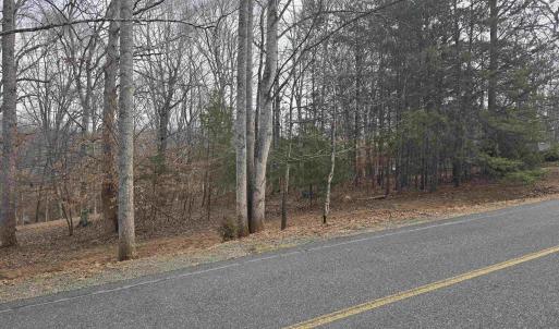 Photo #1 of BARRETT ST, PALMYRA, VA 3.7 acres