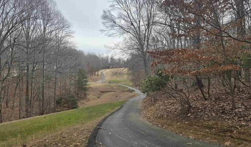 Photo #2 of BARRETT ST, PALMYRA, VA 3.7 acres