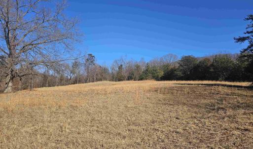 Photo #8 of 7 ac CASTLE ROCK RD, AFTON, VA 7.1 acres