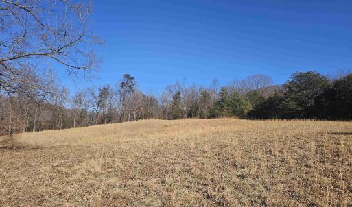 Photo #9 of 7 ac CASTLE ROCK RD, AFTON, VA 7.1 acres