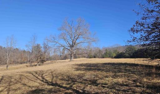 Photo #6 of 7 ac CASTLE ROCK RD, AFTON, VA 7.1 acres