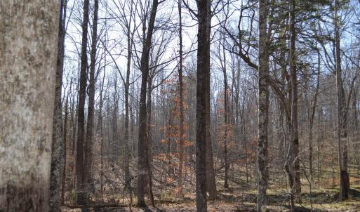 Photo #12 of FRAYS RIDGE CT, EARLYSVILLE, VA 21.0 acres