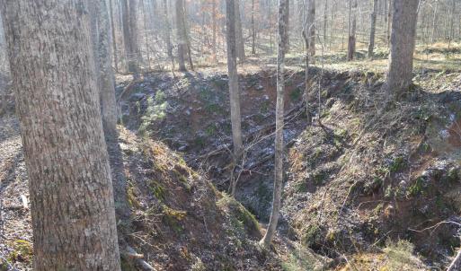 Photo #16 of FRAYS RIDGE CT, EARLYSVILLE, VA 21.0 acres