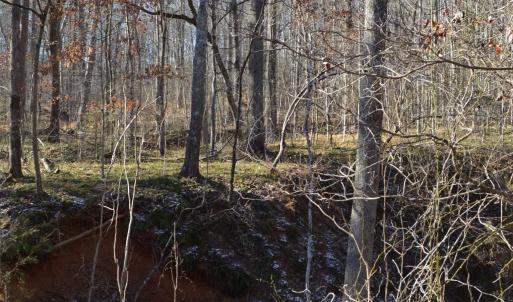 Photo #14 of FRAYS RIDGE CT, EARLYSVILLE, VA 21.0 acres