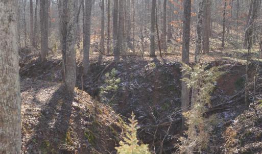 Photo #8 of FRAYS RIDGE CT, EARLYSVILLE, VA 21.0 acres