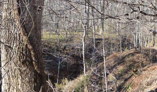 Photo #9 of FRAYS RIDGE CT, EARLYSVILLE, VA 21.0 acres