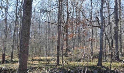 Photo #10 of FRAYS RIDGE CT, EARLYSVILLE, VA 21.0 acres