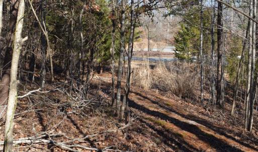 Photo #4 of FRAYS RIDGE CT, EARLYSVILLE, VA 21.0 acres