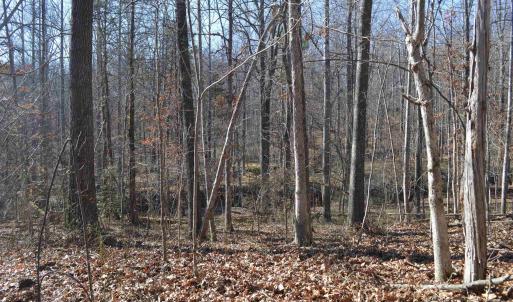 Photo #6 of FRAYS RIDGE CT, EARLYSVILLE, VA 21.0 acres