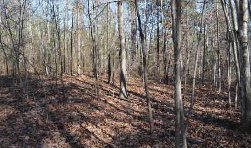 Photo #17 of FRAYS RIDGE CT, EARLYSVILLE, VA 21.0 acres